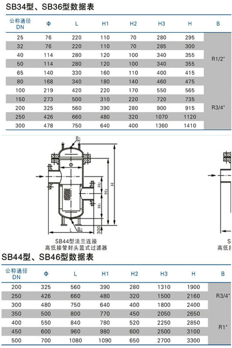 籃式過濾器(圖6)